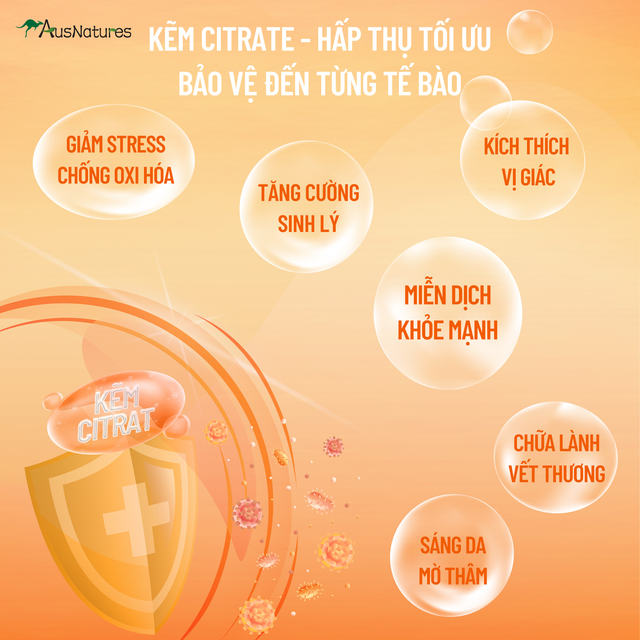 Viên uống Kẽm & C – Tăng đề kháng, giảm mụn, đẹp da, mờ thâm - AusNatures Super Immune - Lọ 60 viên - Hình ảnh 3